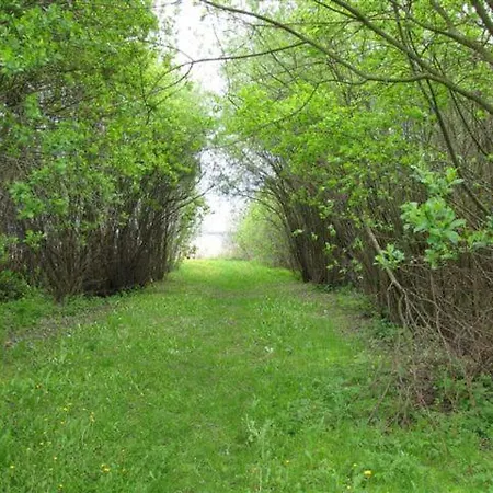 Mazury * Wilkasy